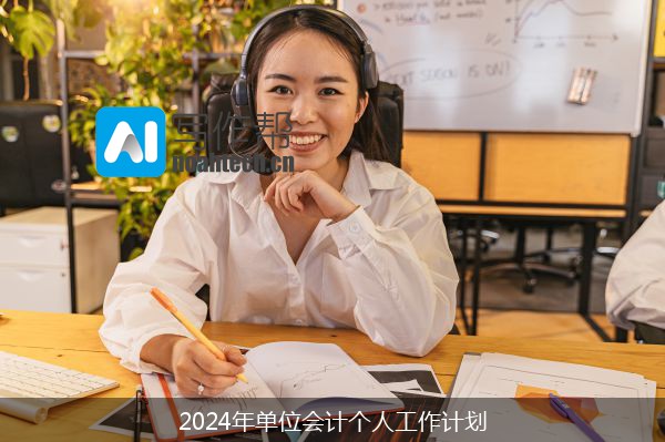 2024年单位会计个人工作计划