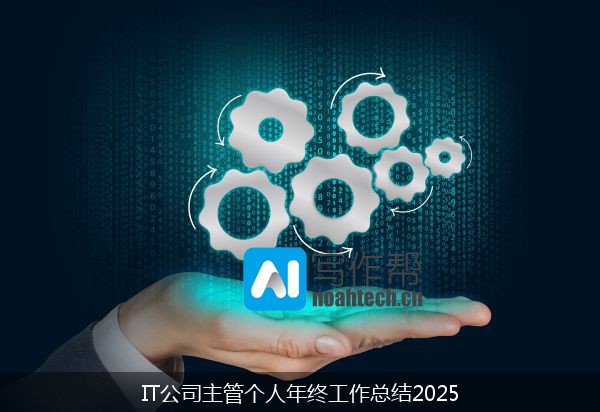IT公司主管个人年终工作总结2025