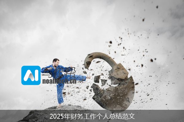 2025年财务工作个人总结范文