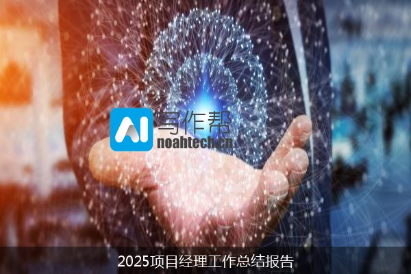 2025项目经理工作总结报告