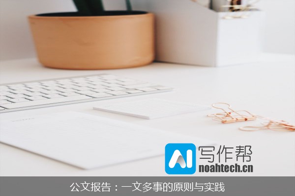 公文报告：一文多事的原则与实践